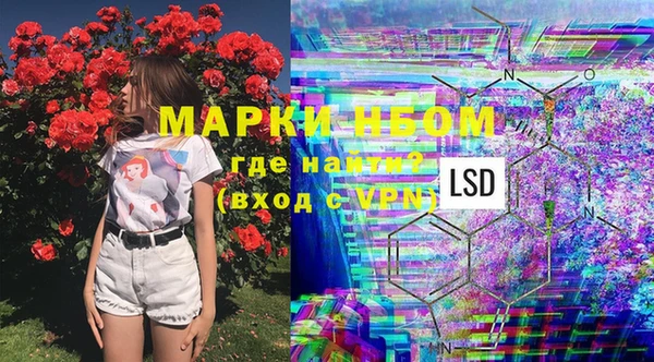 PSILOCYBIN Сосновый Бор