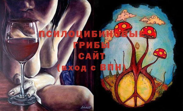 спиды Балахна