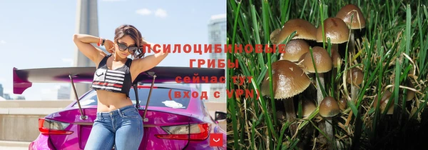 не бодяженный Баксан