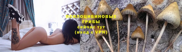 спиды Балахна