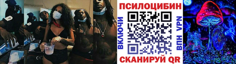 где купить   Озёры  Галлюциногенные грибы Psilocybe 